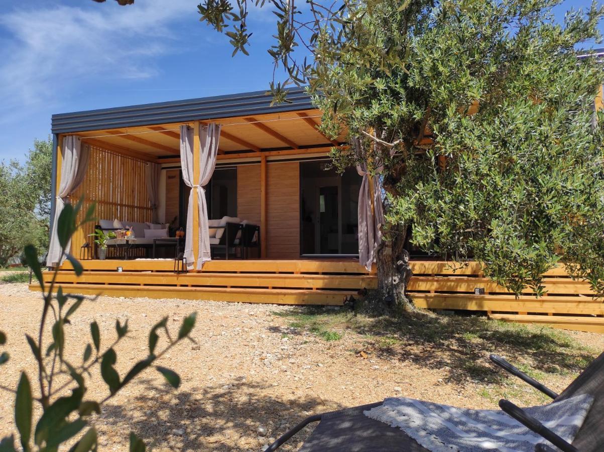 Zen Zone Premium Mobile Home Драге Экстерьер фото